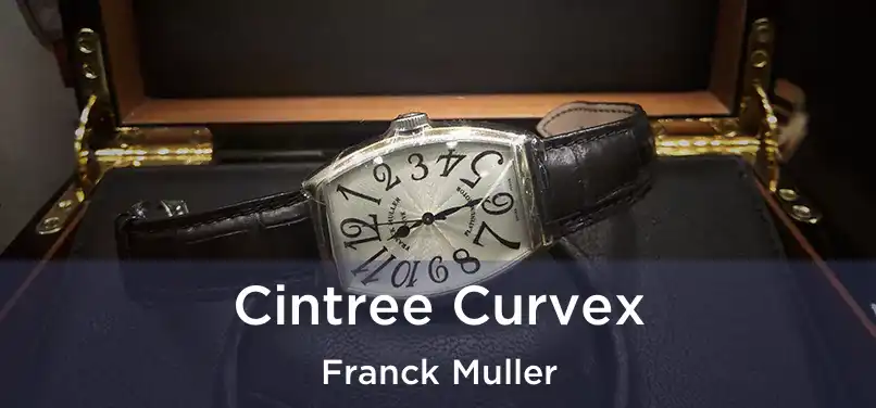  Cintree Curvex Franck Muller